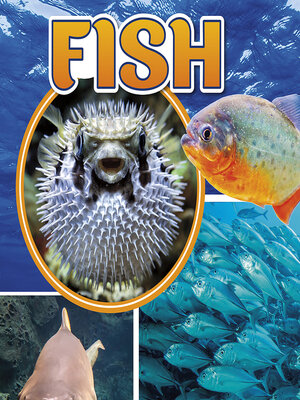 cover image of Fish